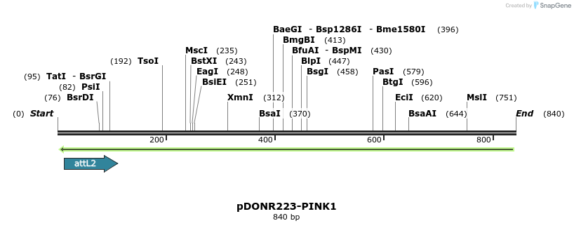 46983_map