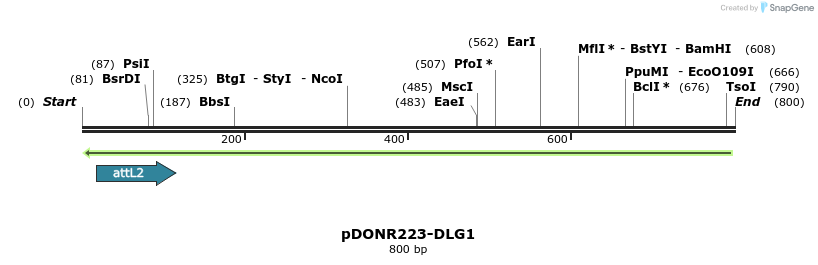 46985_map