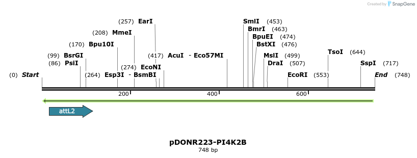 46986_map