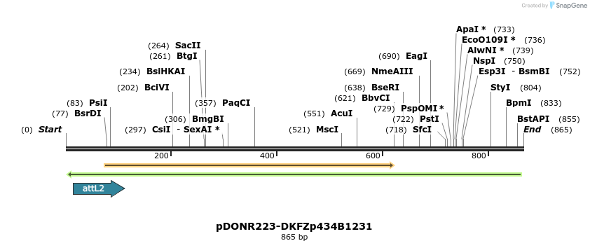 46990_map