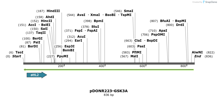 46992_map