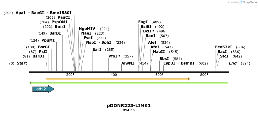 46994_map