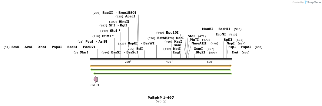 46998_map