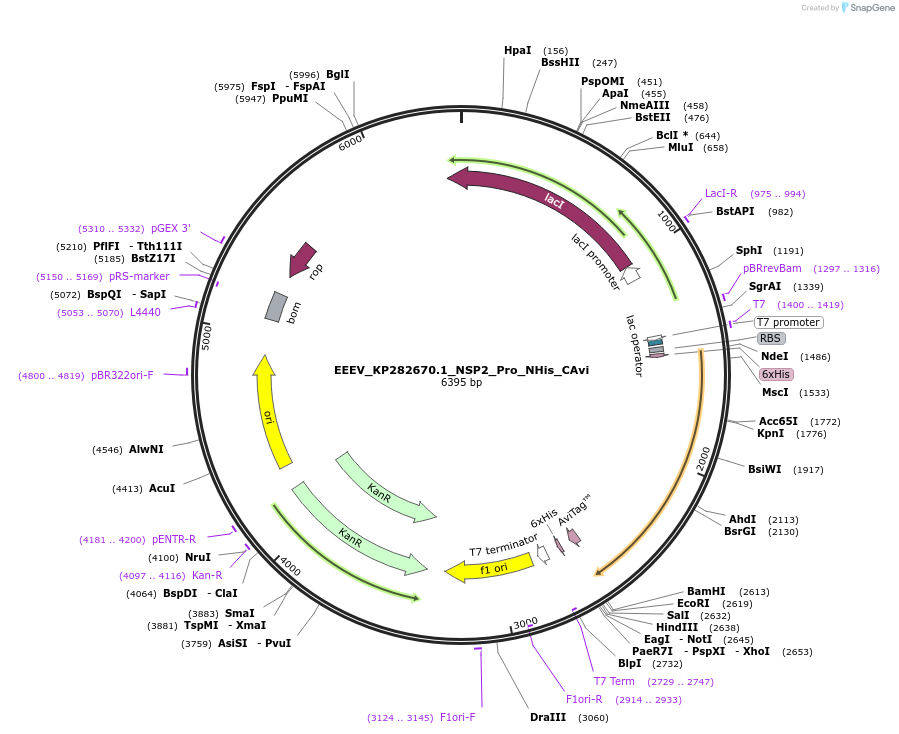 470065_map