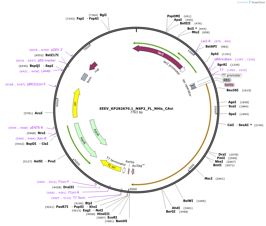 470066_map