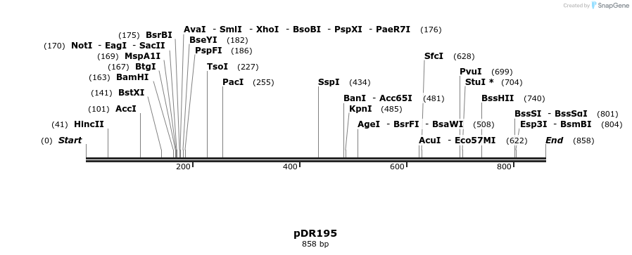 47007_map