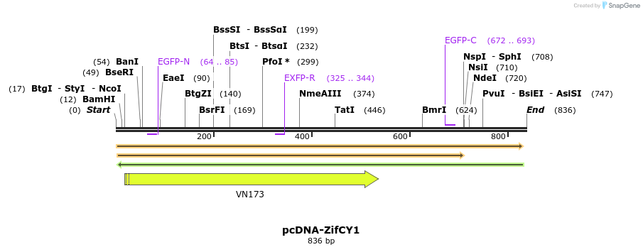 47009_map