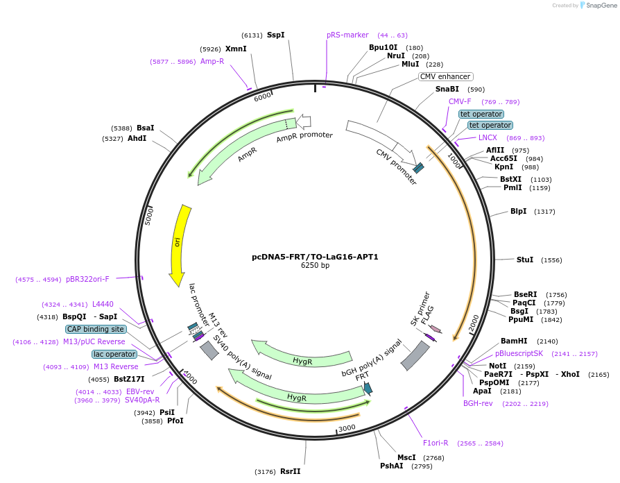 470091_map
