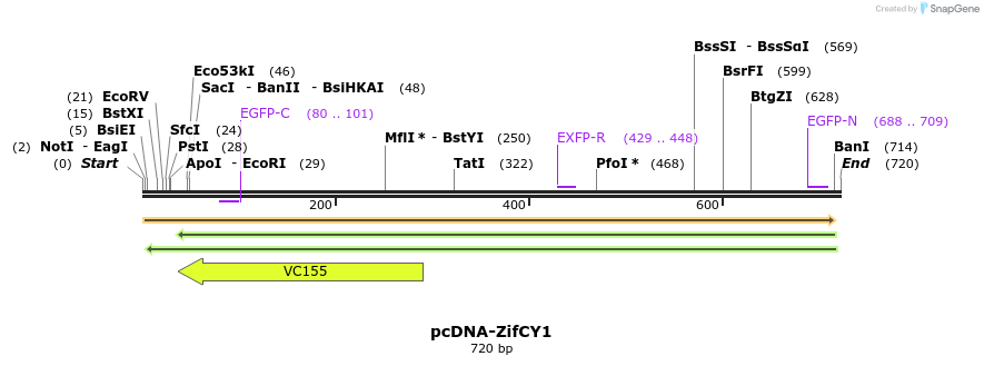 47011_map