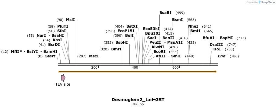 47013_map