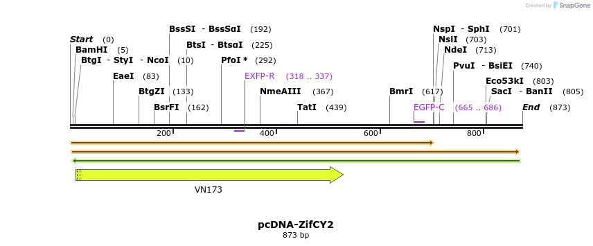 47016_map
