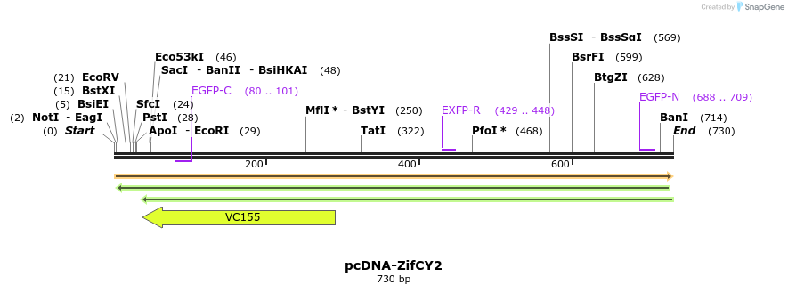 47017_map