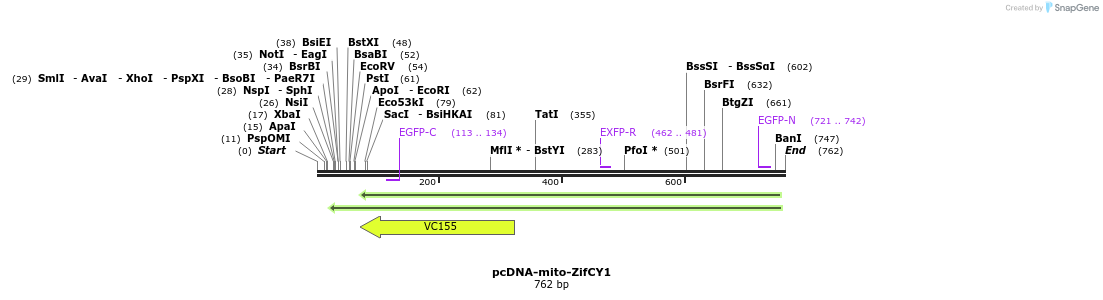 47019_map