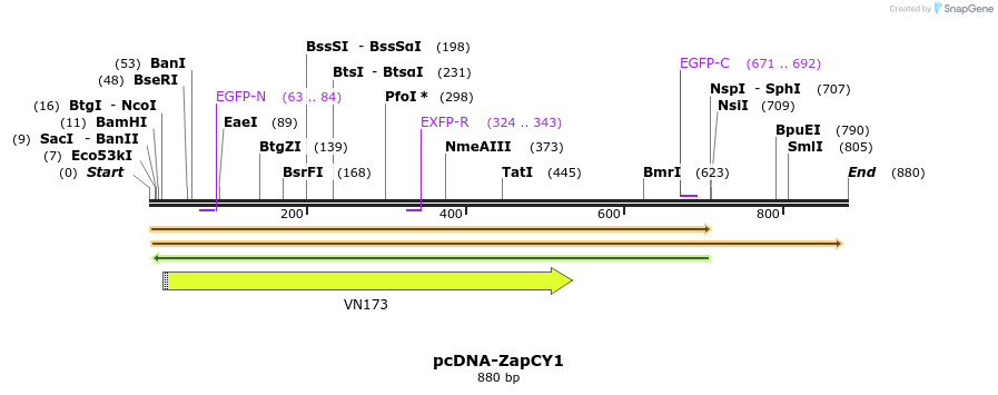 47021_map