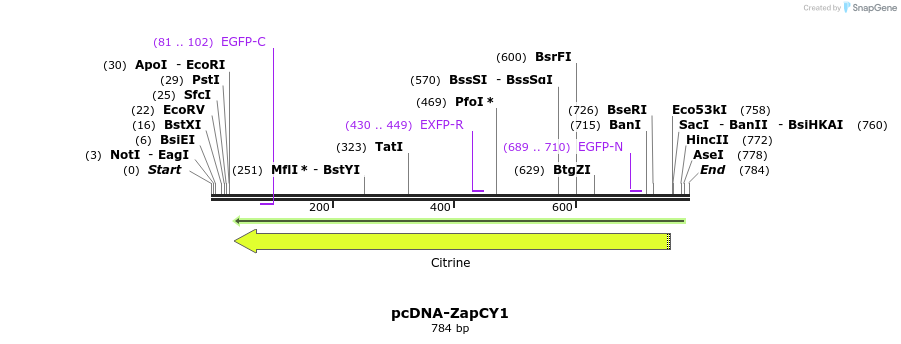 47022_map