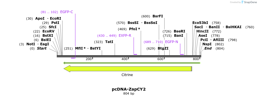 47024_map