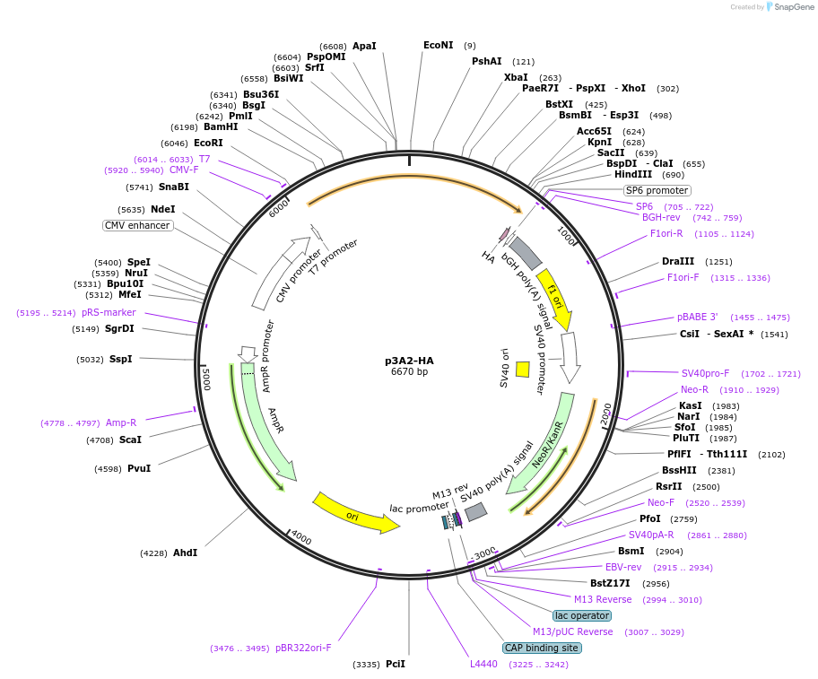 470240_map