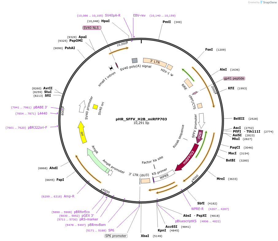 470260_map