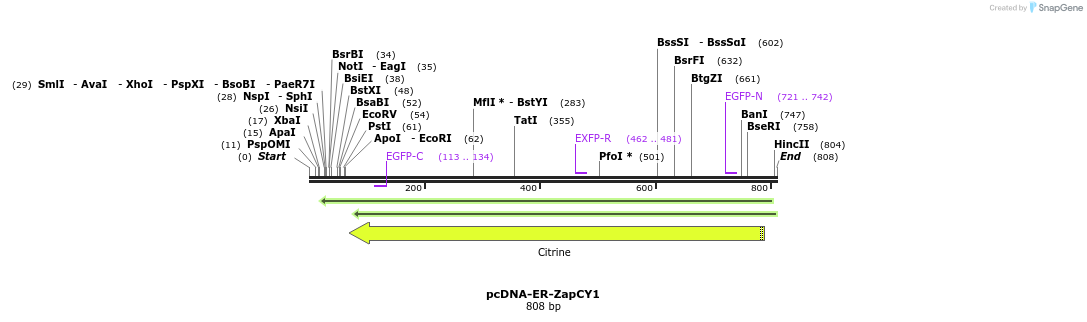 47027_map