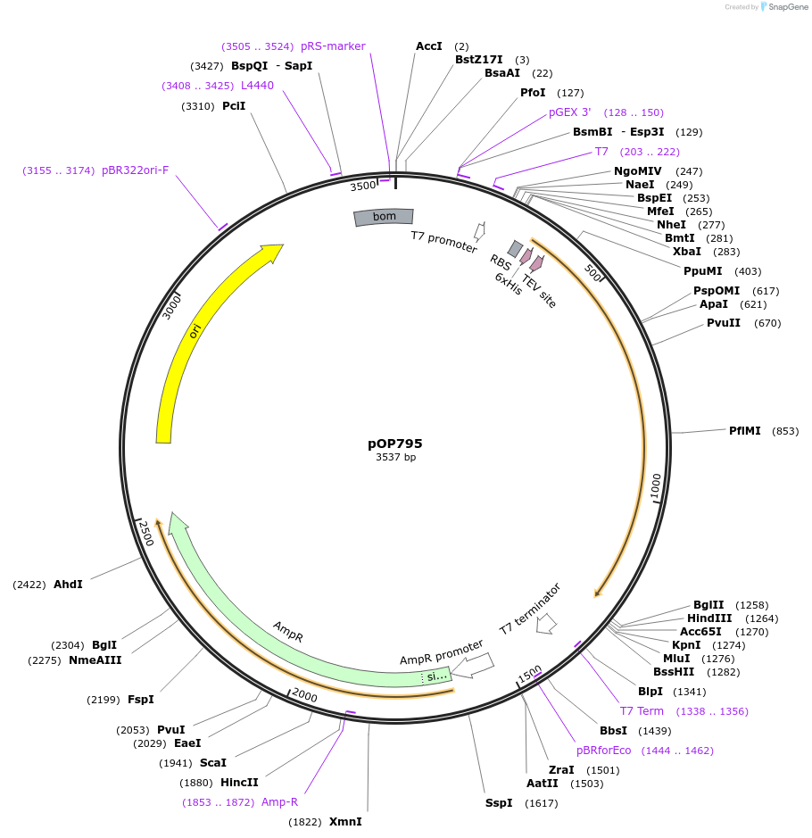 470270_map