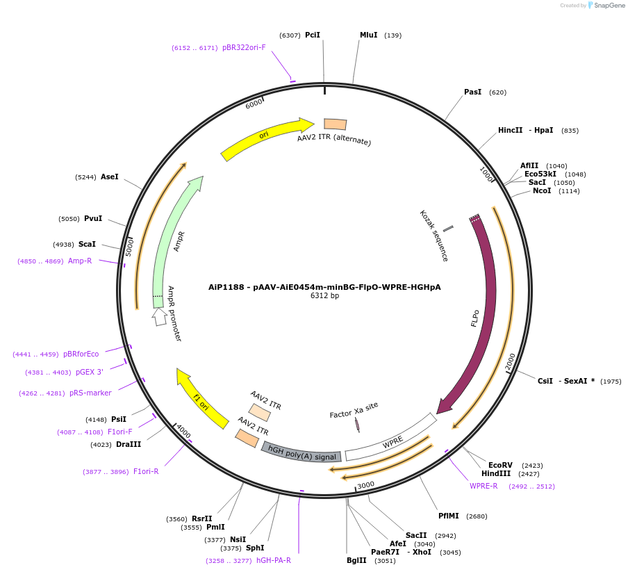 470281_map