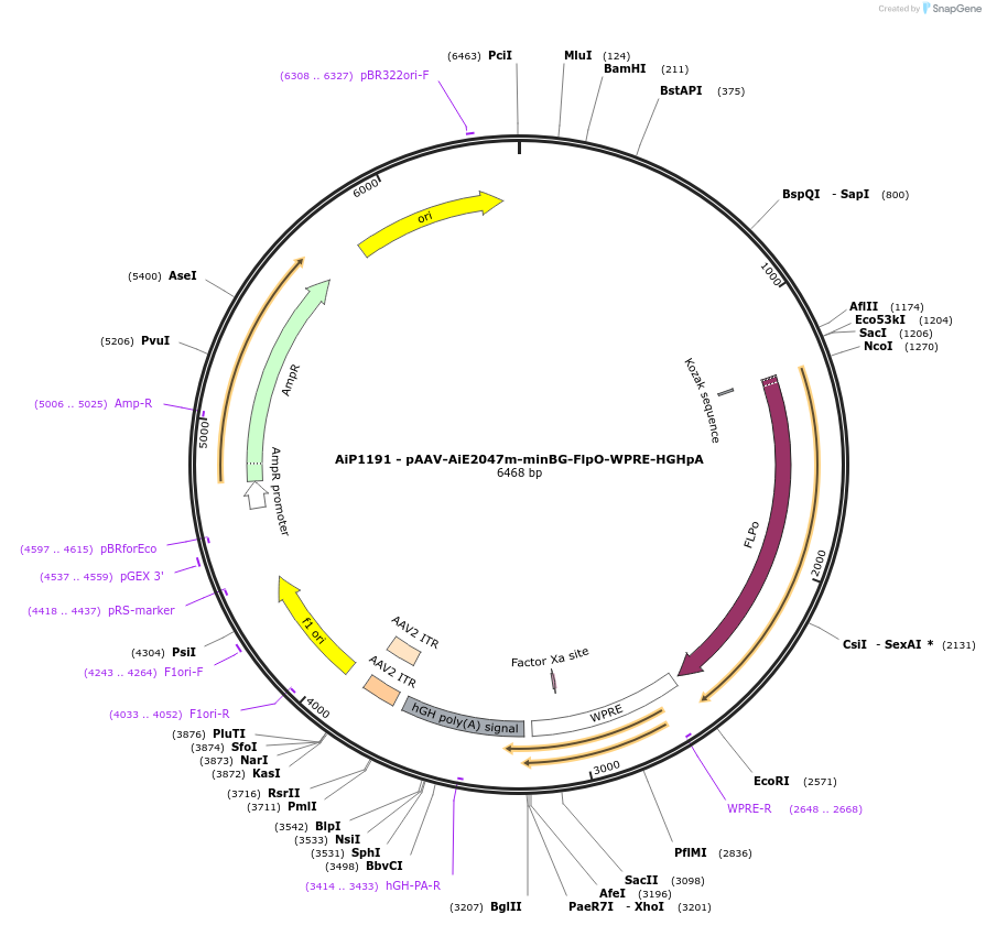 470291_map