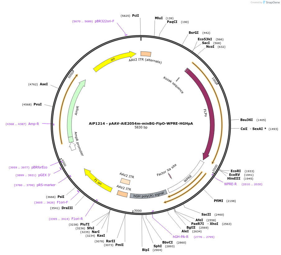 470293_map