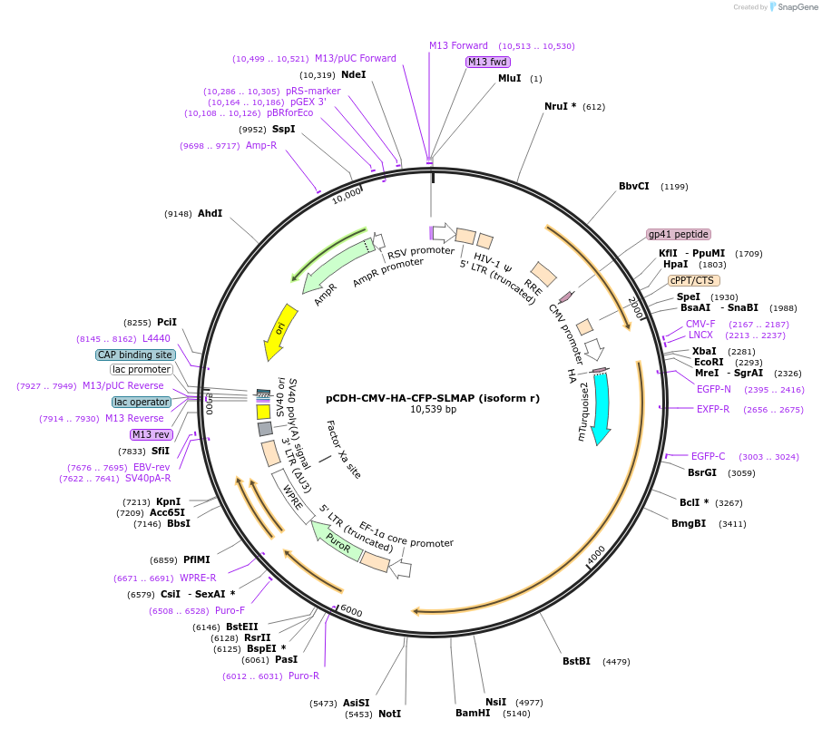 470307_map