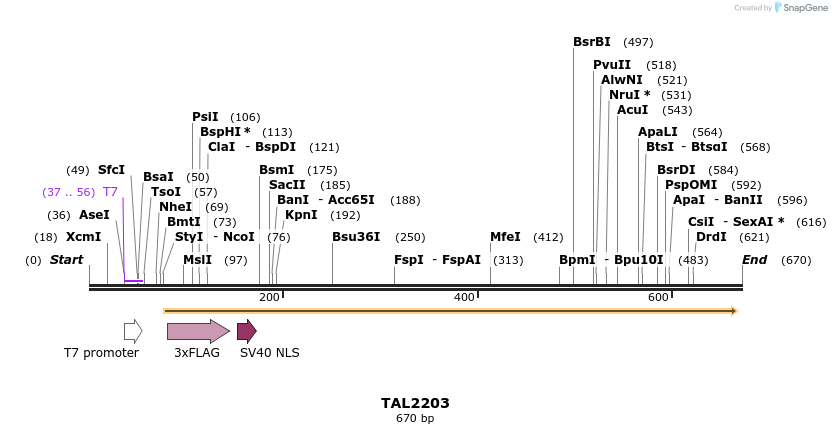 47031_map