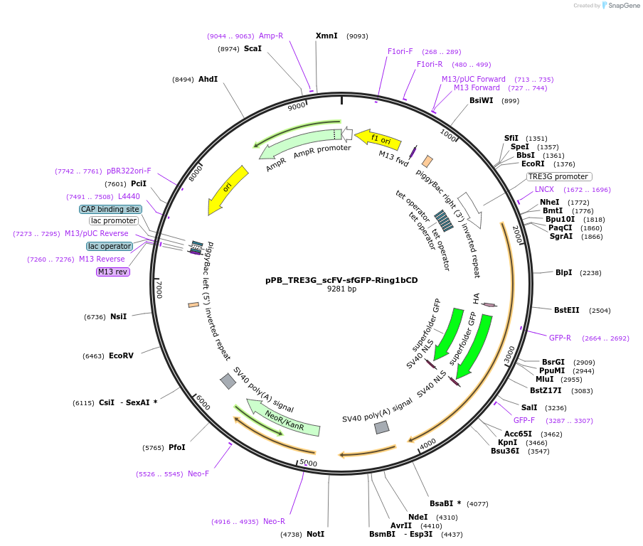 470321_map