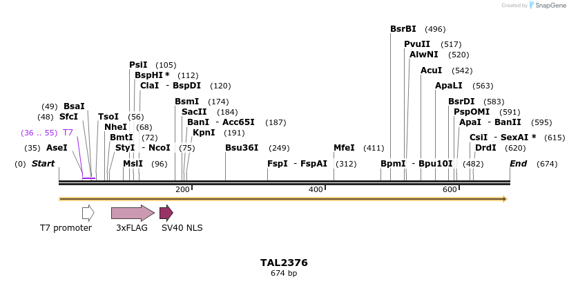 47037_map