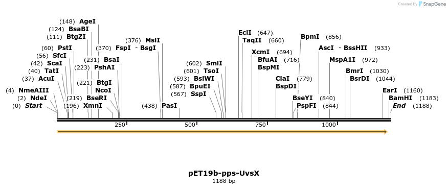 470374_map