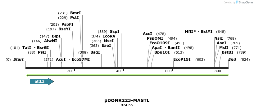 47040_map