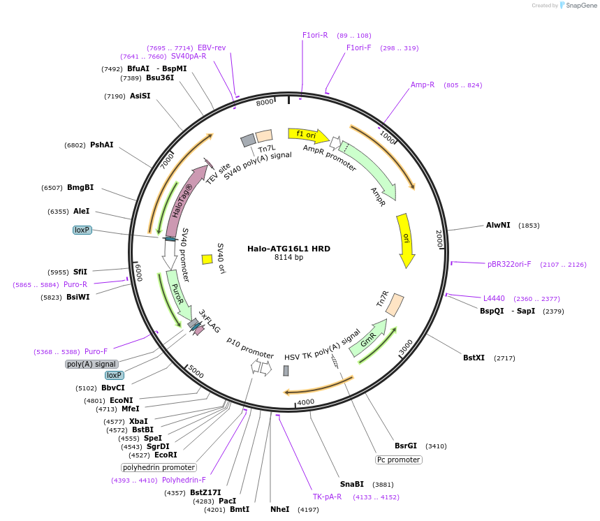 470412_map
