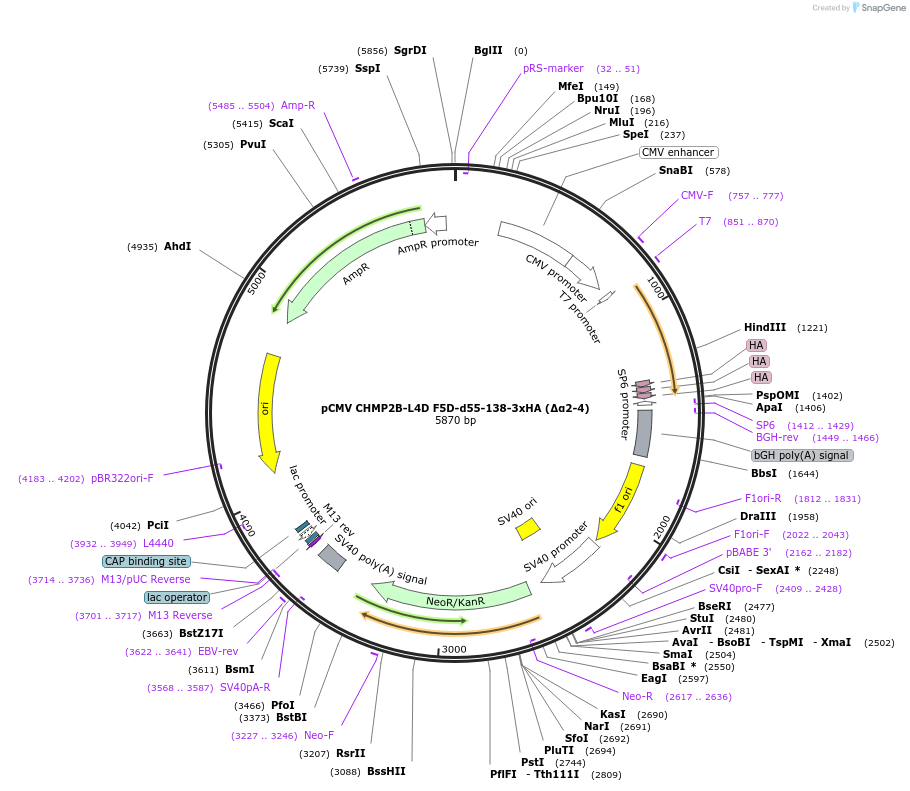 470414_map