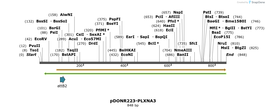 47042_map