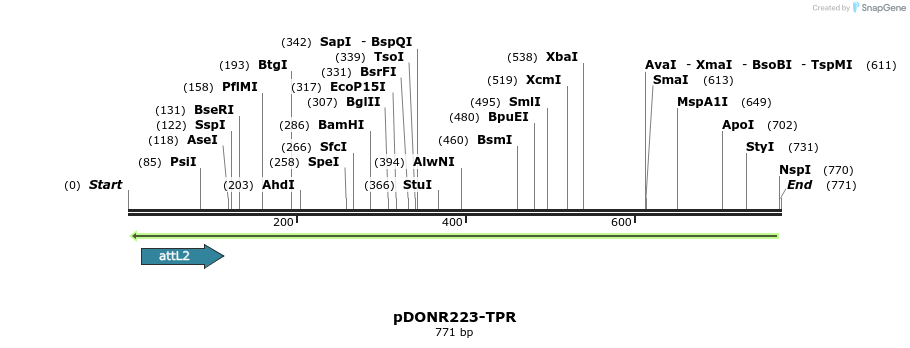 47043_map