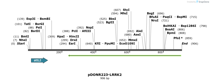 47044_map