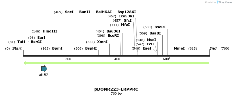 47045_map