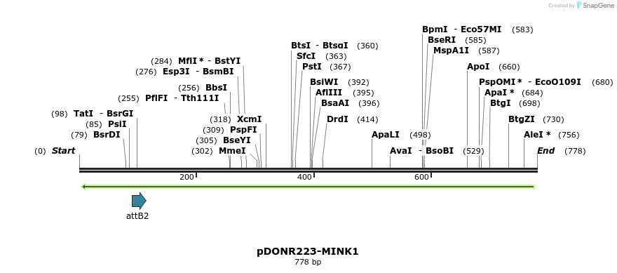 47046_map