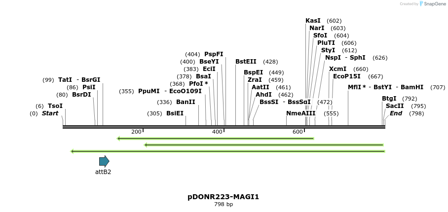 47047_map