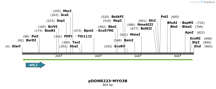 47048_map