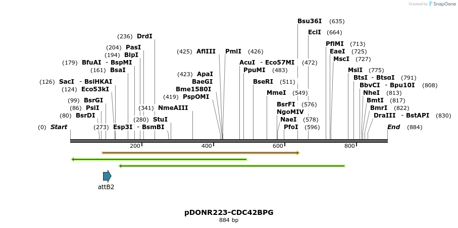 47049_map