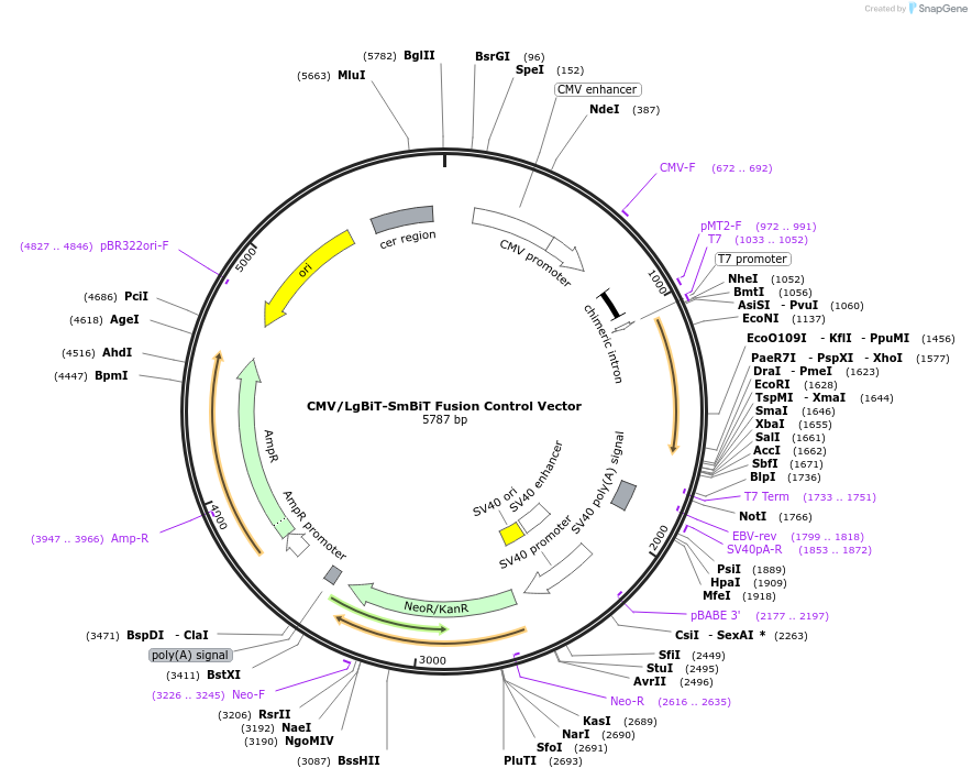 470496_map