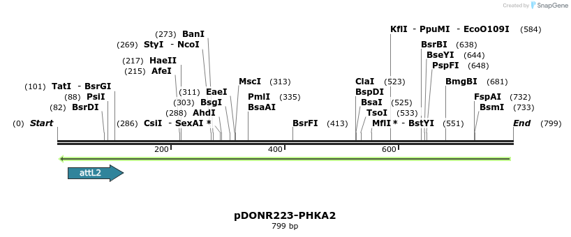 47050_map