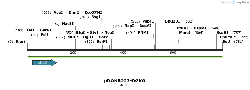 47052_map