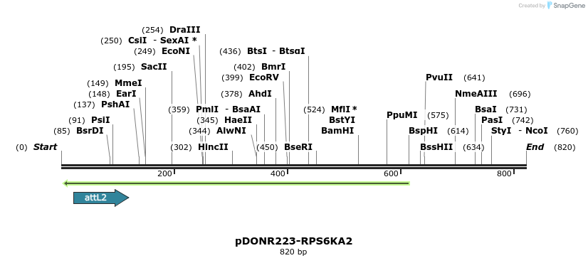47053_map