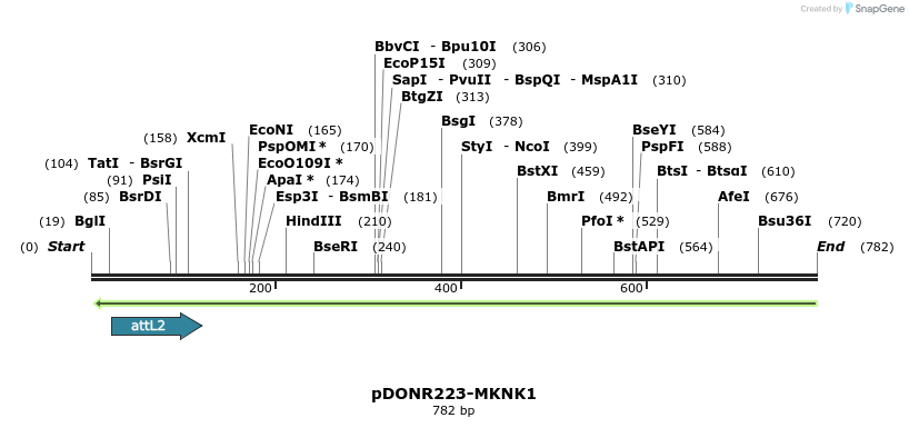 47054_map
