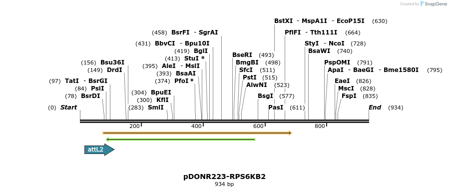 47056_map