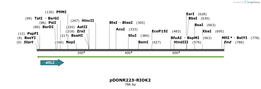 47058_map